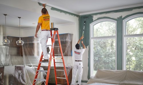 Increasing Your Home’s Splendor with Master Paint Organization – Sydney’s Premier Residential Painting Specialists