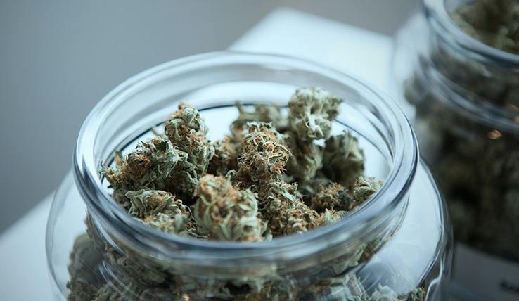 Growing Number of Marijuana Dispensaries